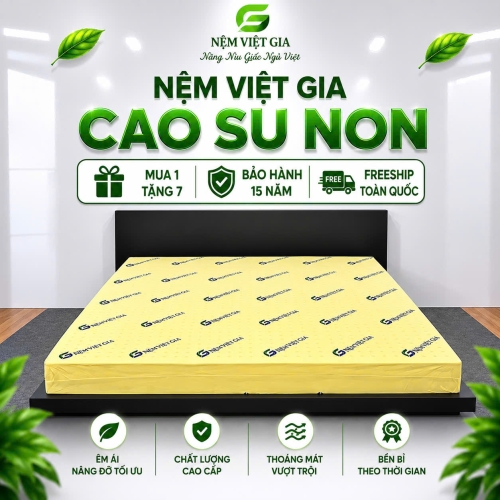 NỆM CAO SU NON VIỆT GIA