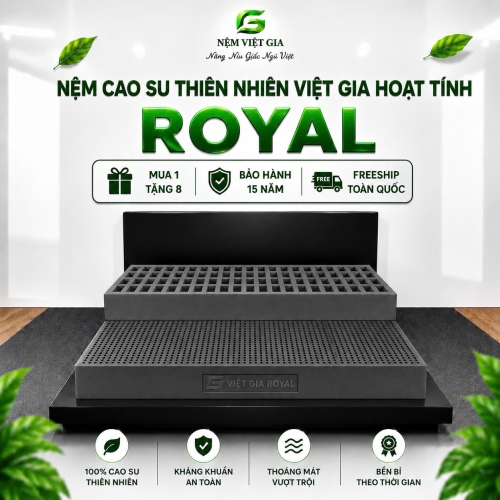 NỆM CAO SU THIÊN NHIÊN 100% ROYAL VIỆT GIA