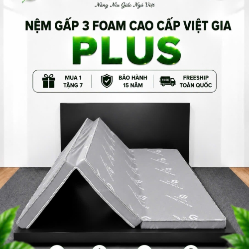NỆM FOAM HOẠT TÍNH PLUS GẤP 3